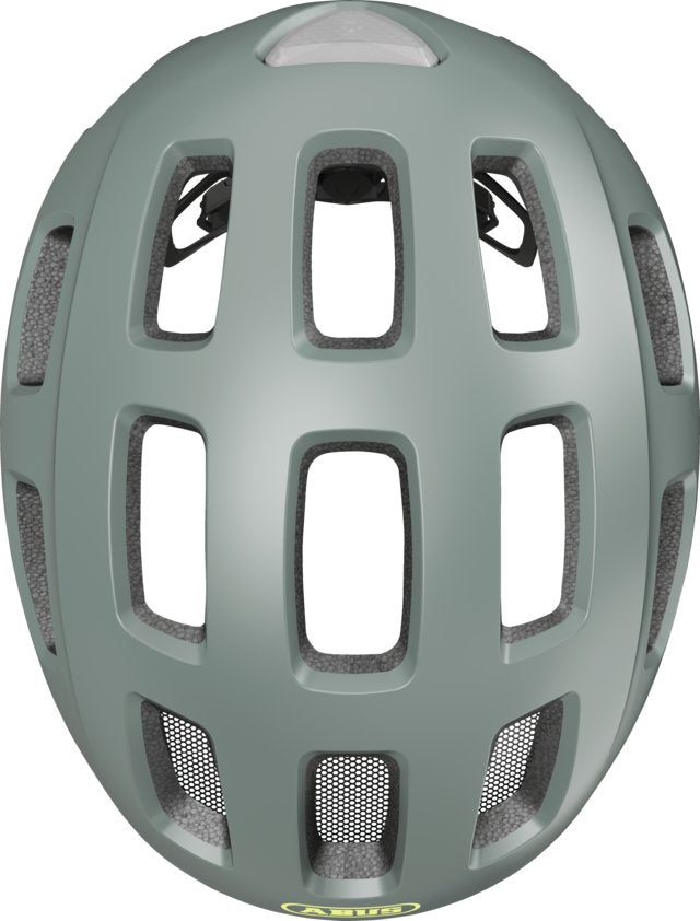 10091890-01
