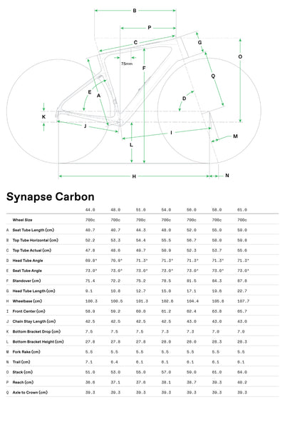 Cannondale Synapse LAB71 Cuadro 2025 Black #5